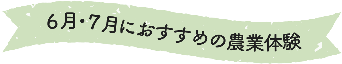 6月・7月のにおすすめの農業体験