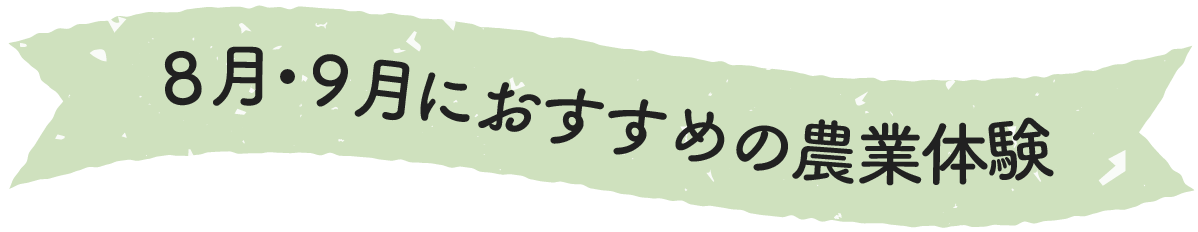 8月・9月のにおすすめの農業体験